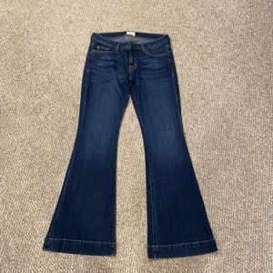 Bell Bottom Hudson Jeans
